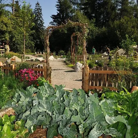 Luggi 里斯奥尔巴赫塔