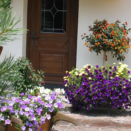 Luggi 招待所 里斯奥尔巴赫塔